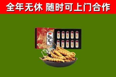 汾阳市回收冬虫夏草价格